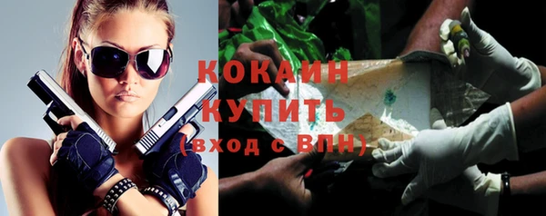 шишки Бронницы